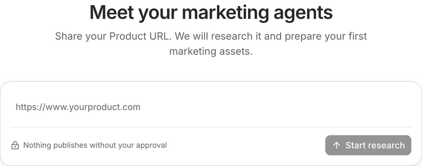 Product setup form asking for the product website